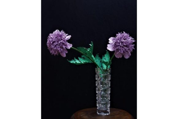 3D SVG Paper Flowers: A Brand Designer's Review