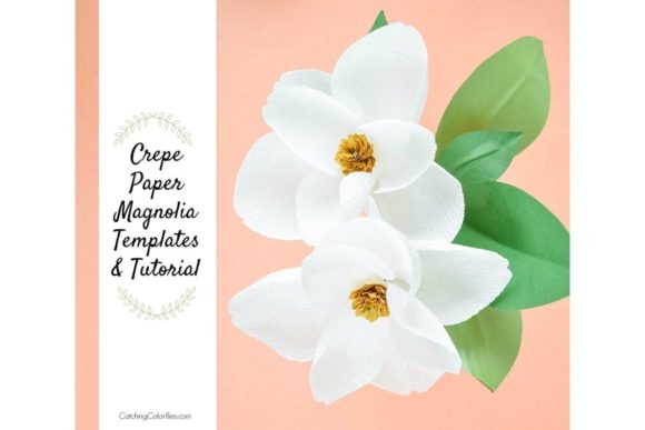 Magnolia 3D SVG Paper Flowers for Handmade Crafts